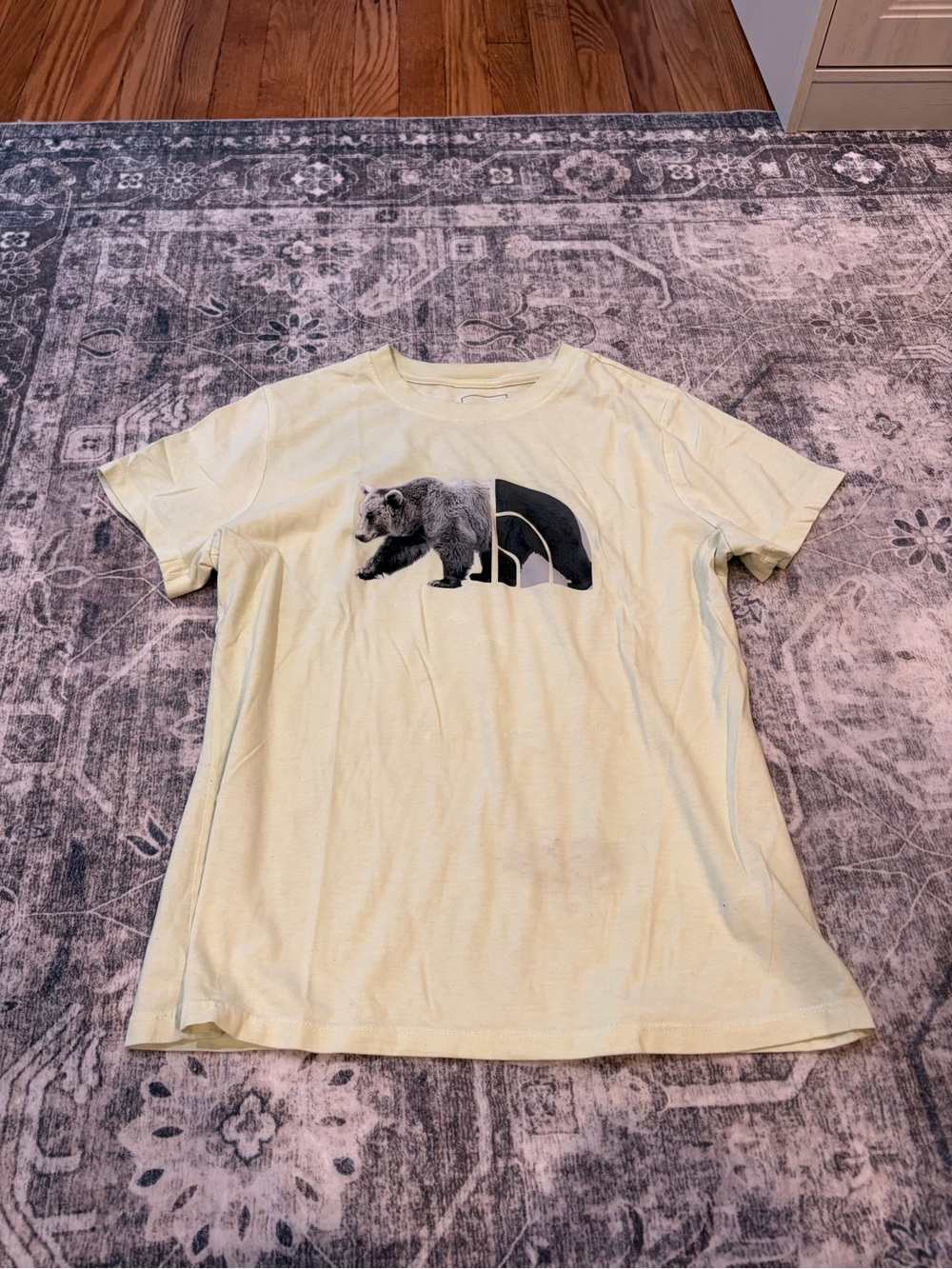 The North Face Pale Yellow/green Bear Graphic Short Sleeve Tee